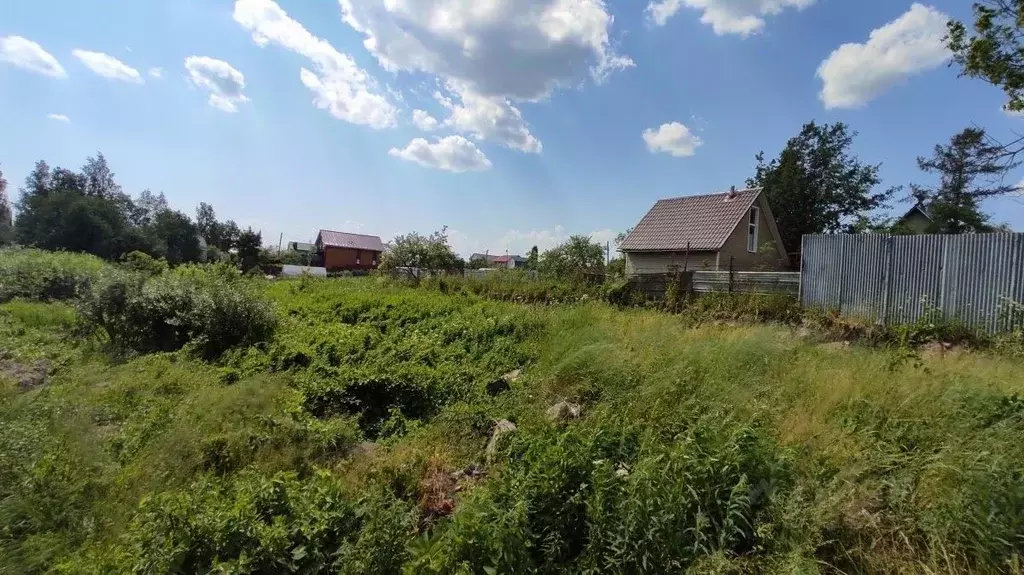 Участок в Ленинградская область, Сертолово Всеволожский район, Черная ... - Фото 0