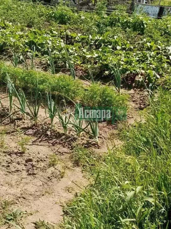 Участок в Забайкальский край, Чита ПСК № 2 Машиностроитель СНТ,  (7.0 ... - Фото 2