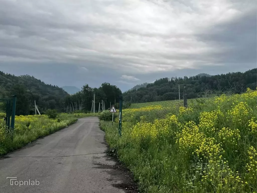 Участок в Алтай, Майминский район, с. Манжерок Ленинская ул. (6.0 ... - Фото 1