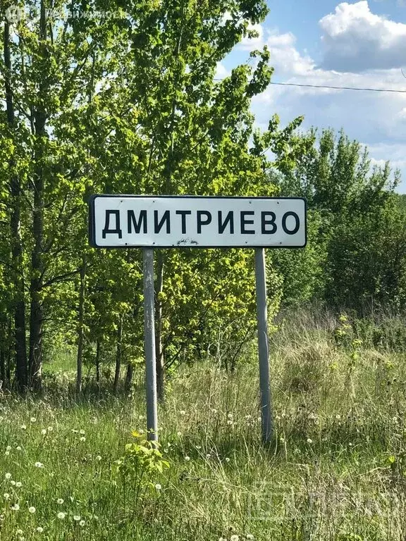 Дом в село Дмитриево, Центральная улица, 49А (40 м) - Фото 0