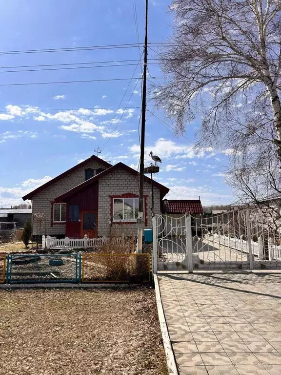 Дом в Алтайский край, Немецкий Национальный район, с. Подсосново ул. ... - Фото 1