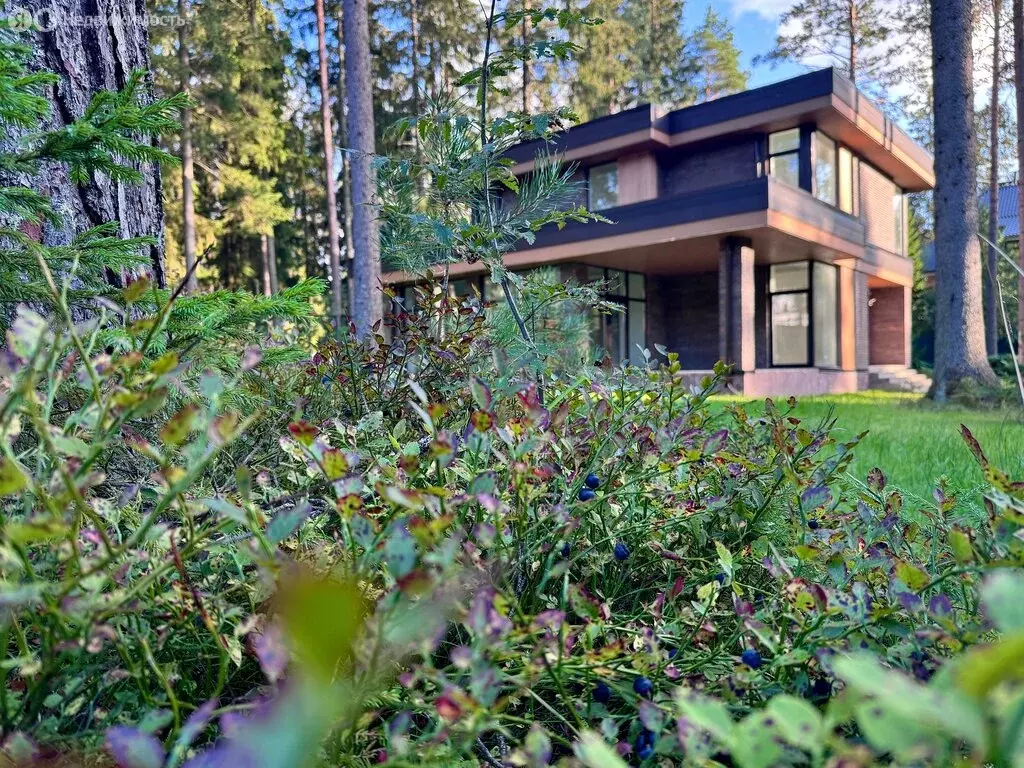 Дом в Ленинское, Советская улица (230 м) - Фото 2