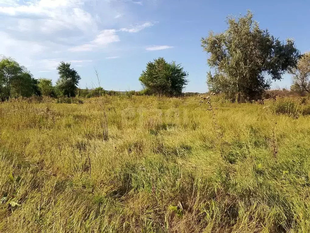Участок в Белгородская область, Ровеньки городское поселение, Озерный ... - Фото 1