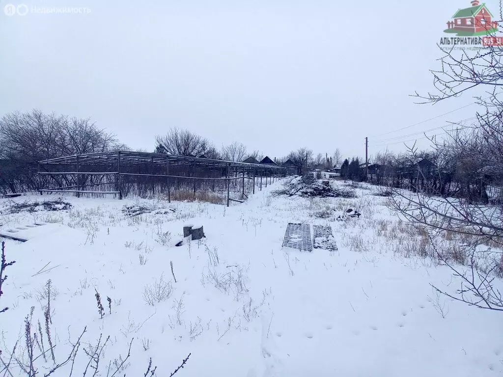 Дом в хутор Бурковский, Садовая улица, 29 (42.4 м) - Фото 1