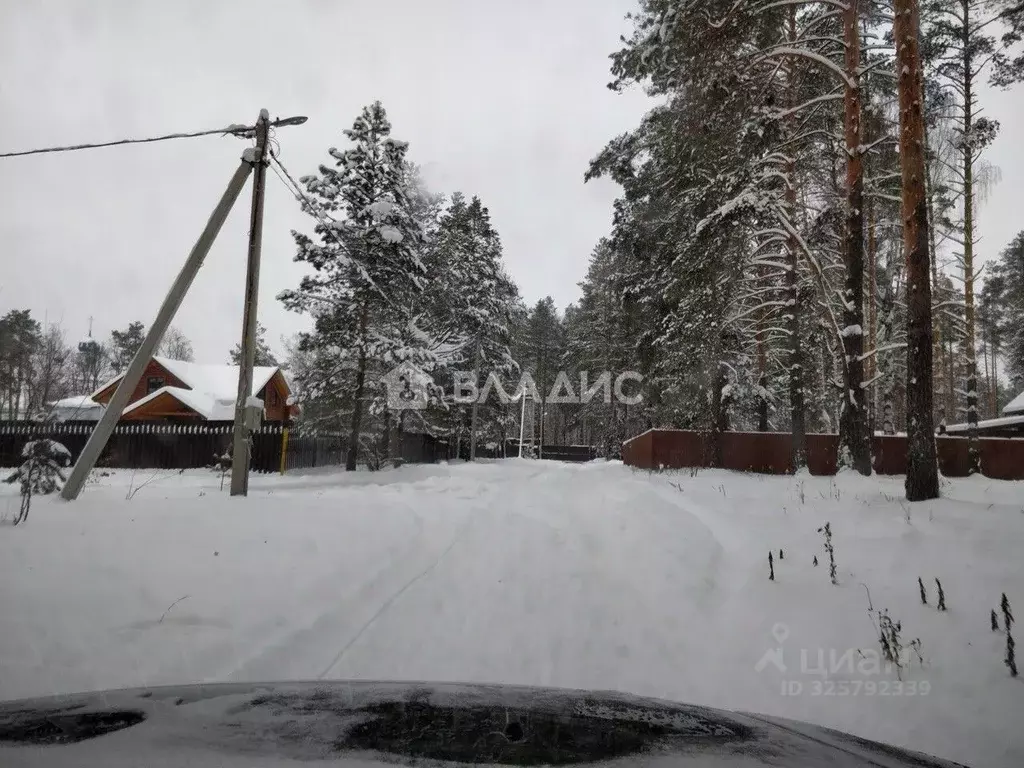 Участок в Владимирская область, Судогодский район, с. Спас-Купалище ... - Фото 1