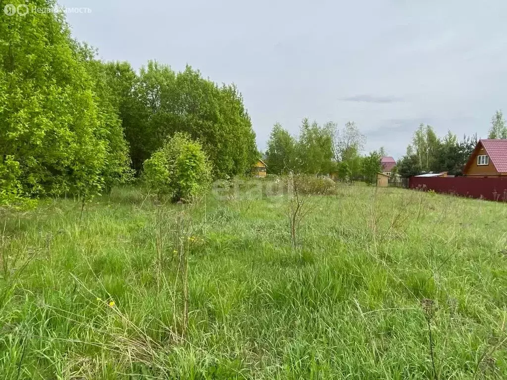 Участок в Московская область, городской округ Коломна, село Пруссы (15 ... - Фото 1