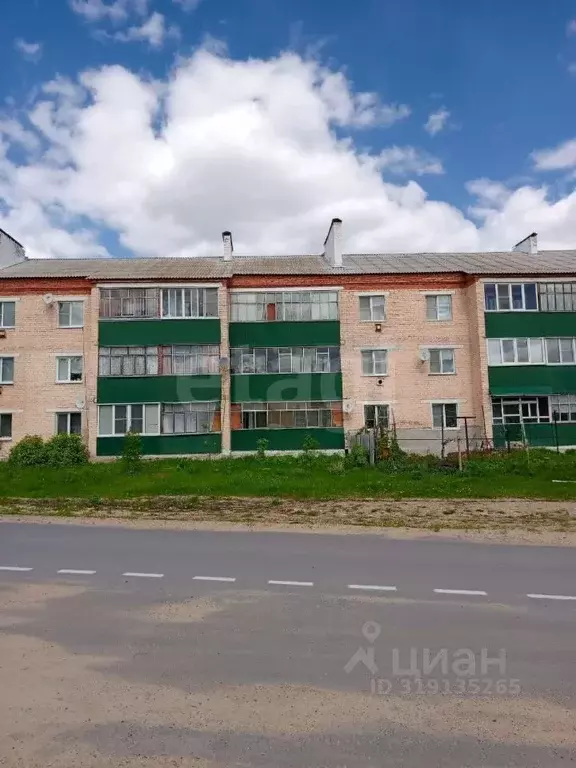 3-к кв. Мордовия, с. Большие Березники ул. Кирова, 22 (58.6 м) - Фото 0