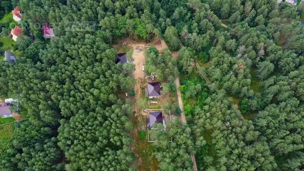 Участок в Калининградская область, Ладушкин Молодежная ул. (8.0 сот.) - Фото 0