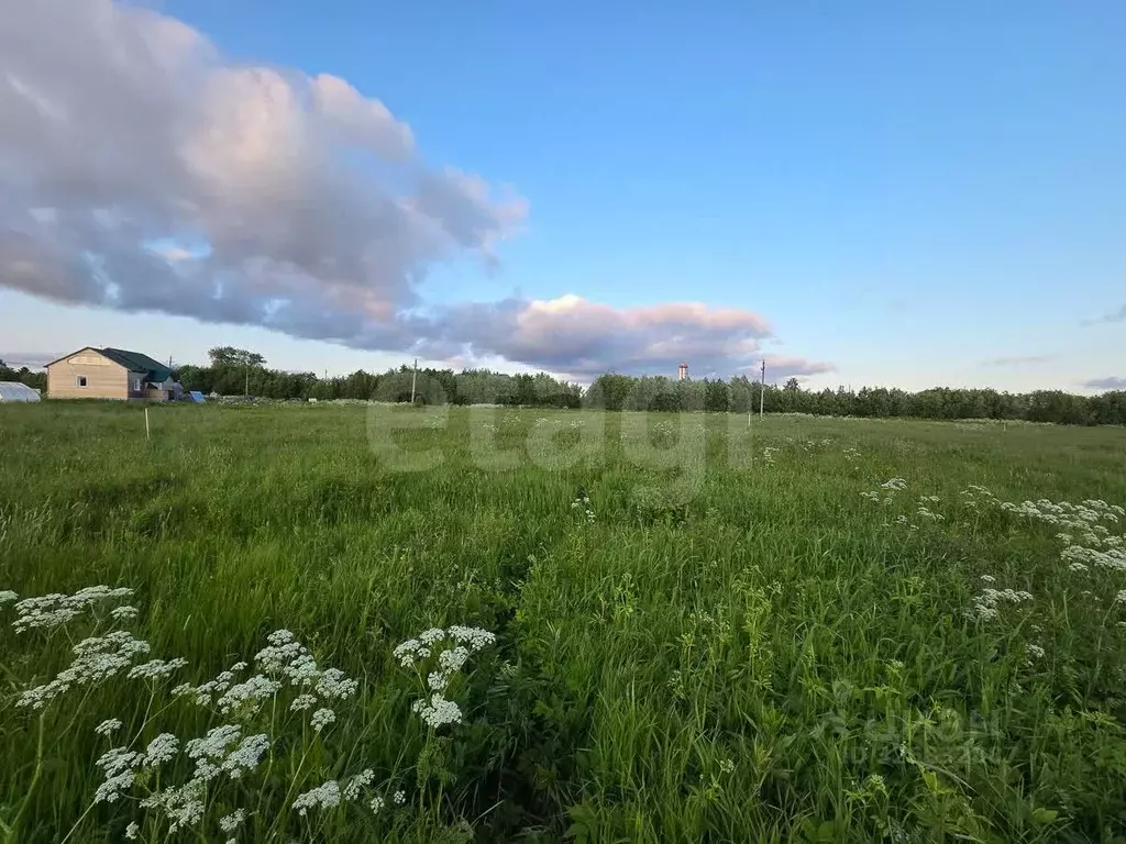 Участок в Архангельская область, Приморский муниципальный округ, д. ... - Фото 1