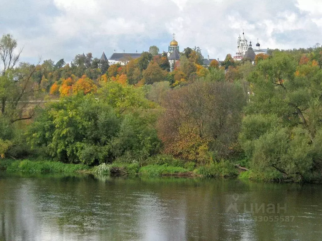 Участок в Московская область, Звенигород Одинцовский городской округ, ... - Фото 1
