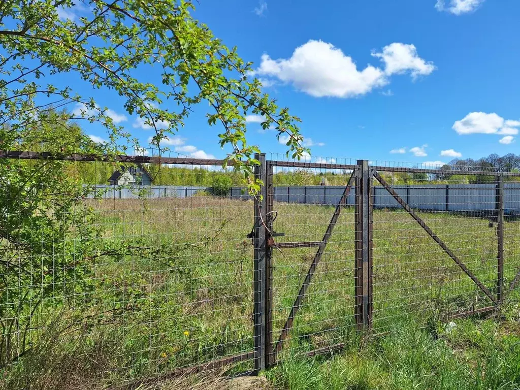 Участок в Калининградская область, Янтарный пгт ул. Малиновая (8.0 ... - Фото 0