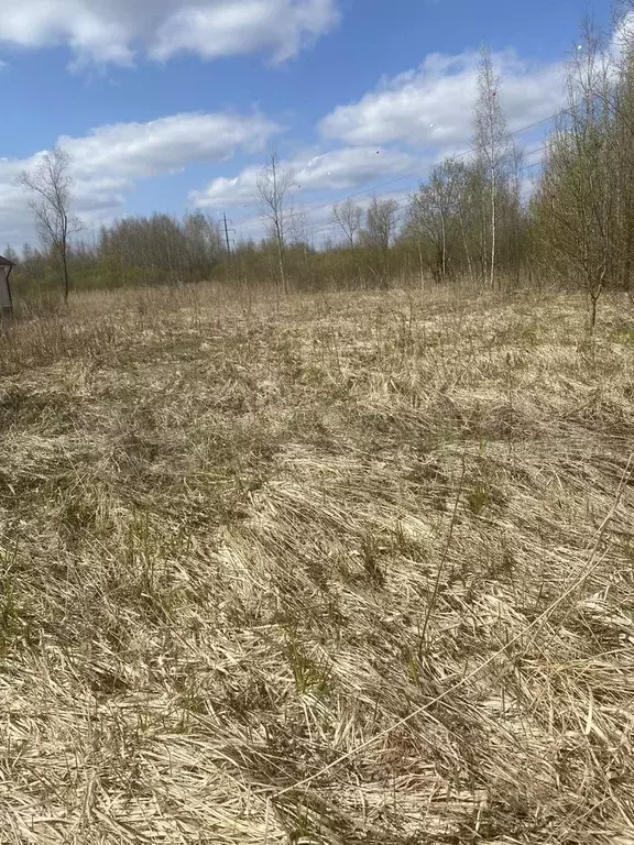 Участок 8,8 сот. (ИЖС) - Фото 0