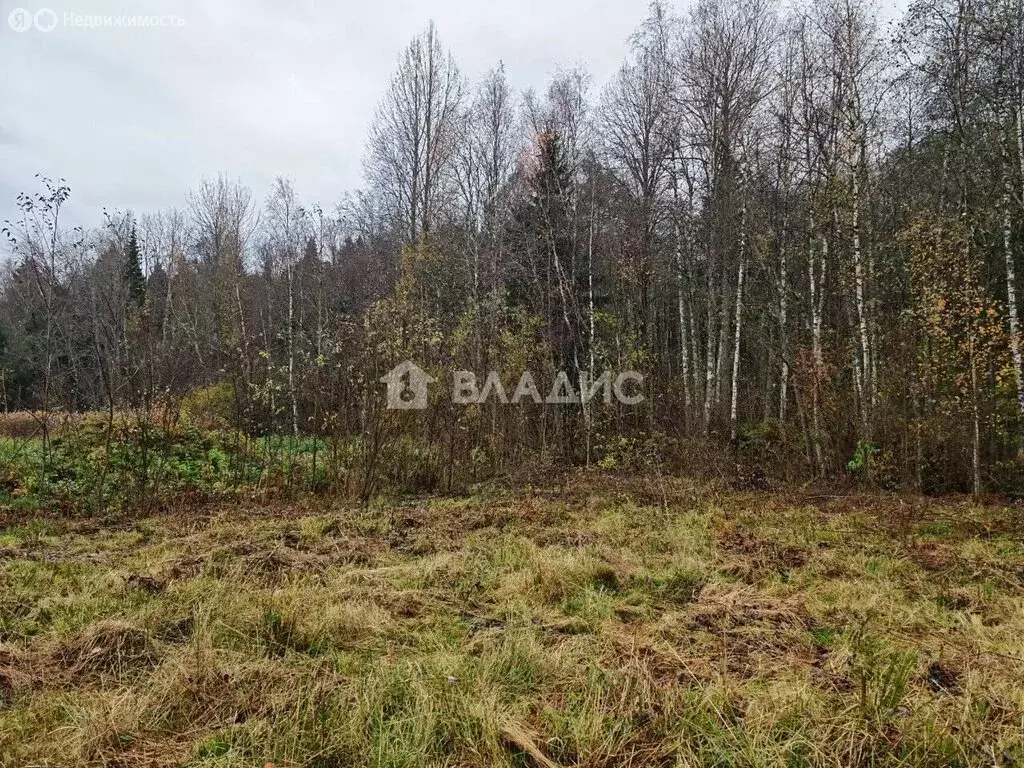 Участок в Всеволожский район, Рахьинское городское поселение, деревня ... - Фото 1