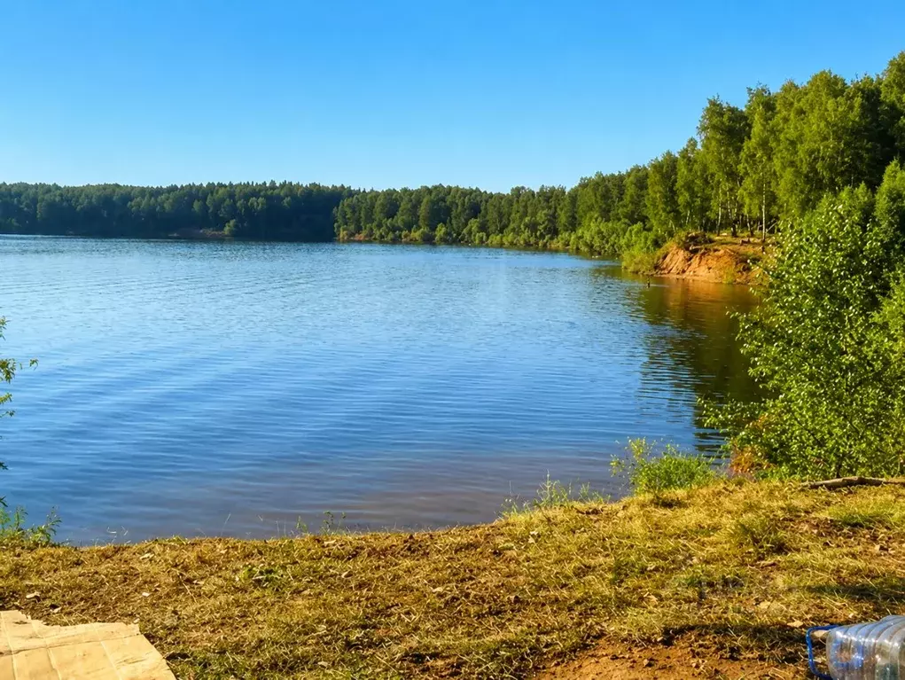 Участок в Нижегородская область, Сокольский муниципальный округ, д. ... - Фото 1