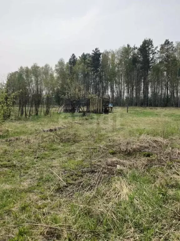 Участок в Свердловская область, Тугулымский муниципальный округ, д. ... - Фото 2