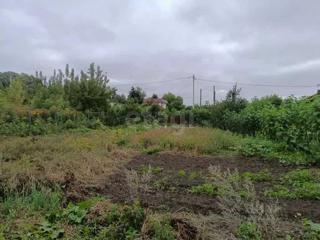 Участок в Орловская область, Орловский район, Импульс СНТ  (5.5 сот.) - Фото 2