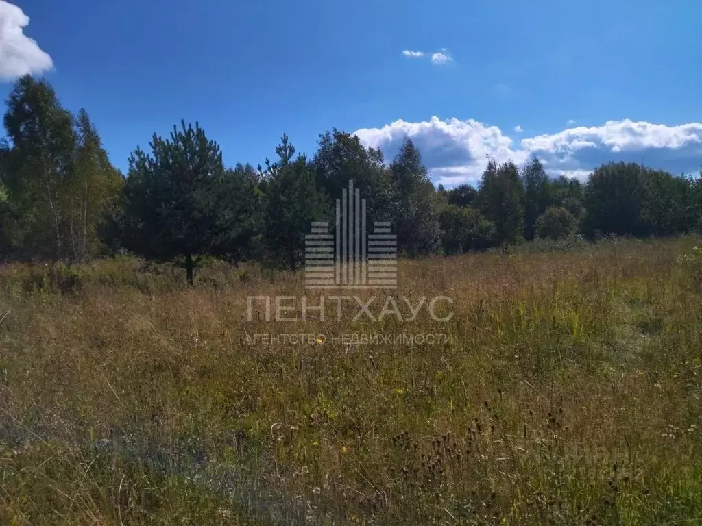 Участок в Владимирская область, Судогодский район, д. Овсянниково 29 ... - Фото 2