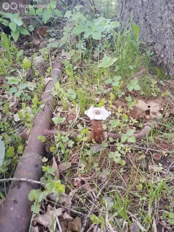 Дом в Калужская область, Жуковский муниципальный округ, сельское ... - Фото 1