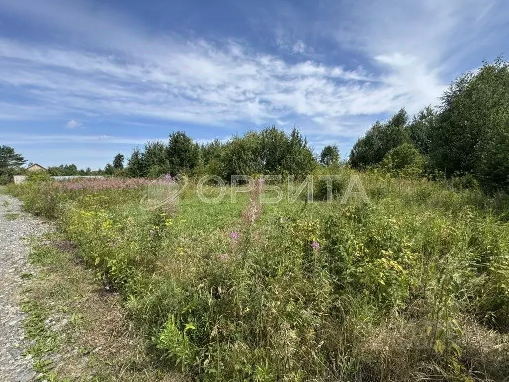 Участок в Тюменская область, Тюменский муниципальный округ, ... - Фото 1