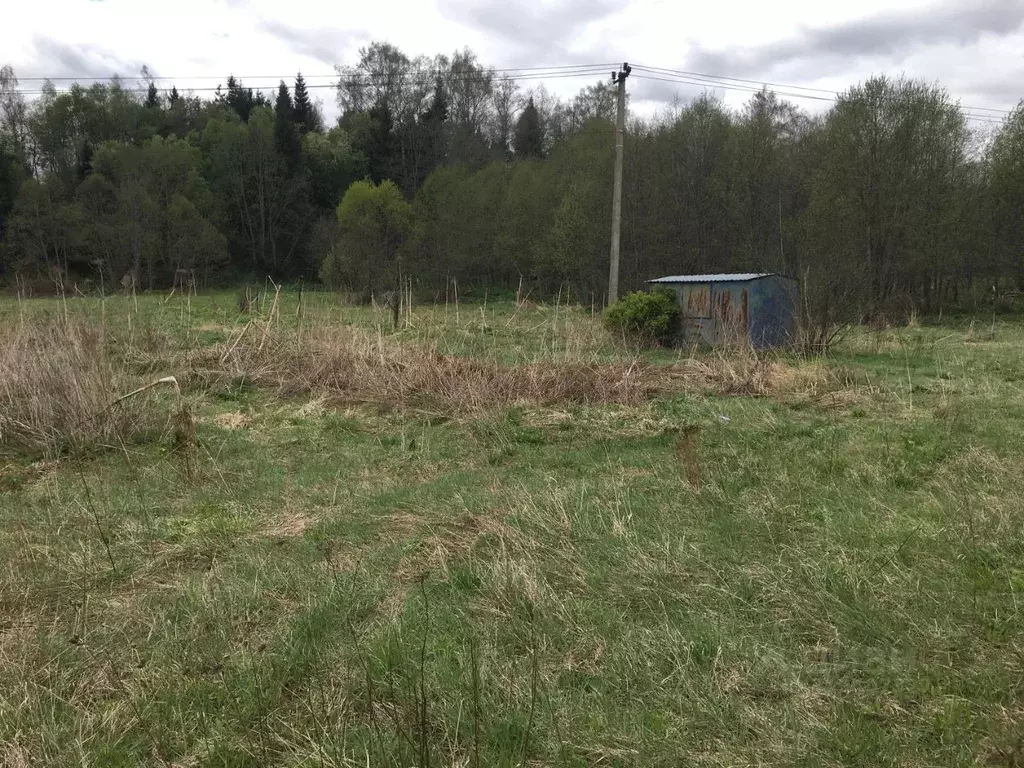 Участок в Московская область, Пушкинский городской округ, д. Раково  ... - Фото 1