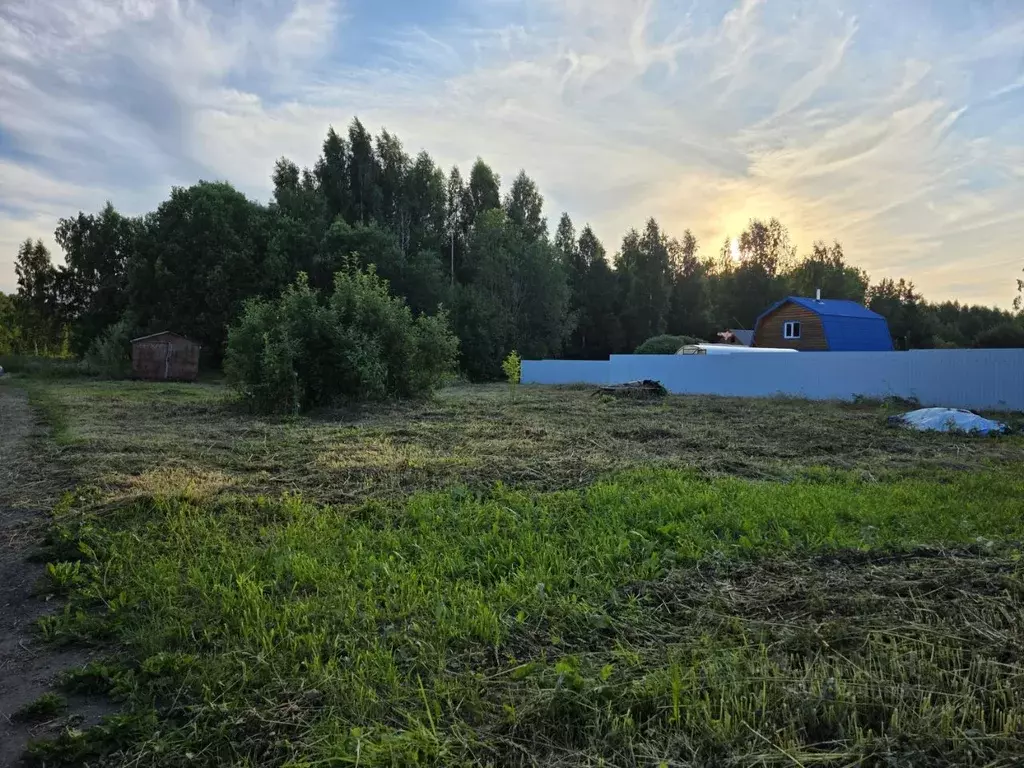 Участок в Вологодская область, Кадуйский муниципальный округ, д. ... - Фото 1