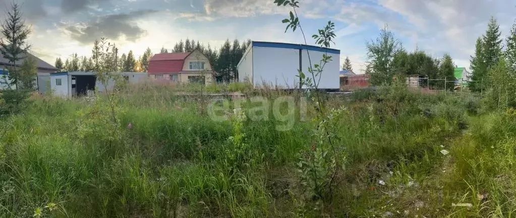 Участок в Ямало-Ненецкий АО, Новый Уренгой Дружба ТСН, проезд 2-й ... - Фото 1