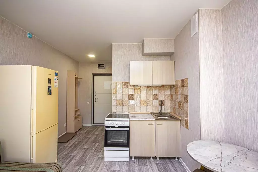 Студия Новосибирская область, Новосибирский район, Станционный ... - Фото 2