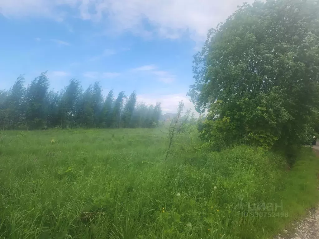 Участок в Московская область, Домодедово городской округ, д. Острожки  ... - Фото 2