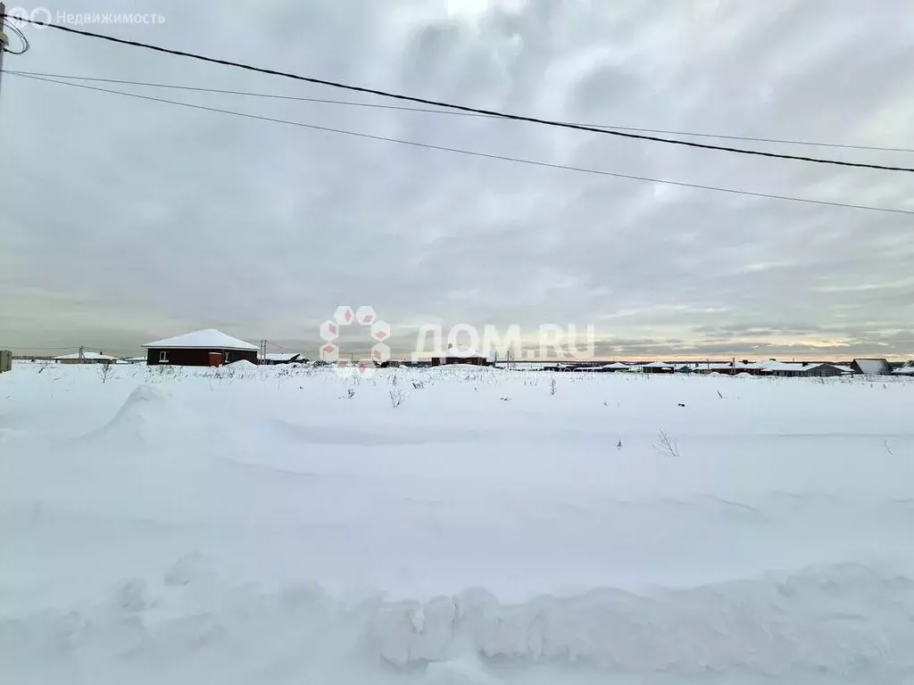 Участок в Московская область, городской округ Коломна, деревня ... - Фото 2