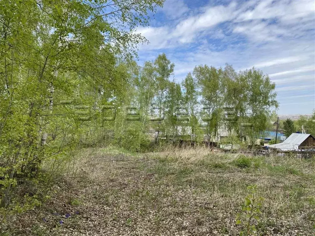 Участок 9 сот. (СНТ, ДНП) - Фото 1