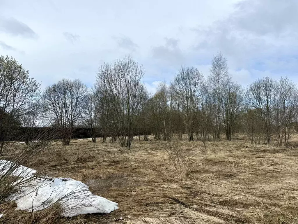 Участок в Московская область, Серпухов городской округ, Клейменово-3 ... - Фото 2