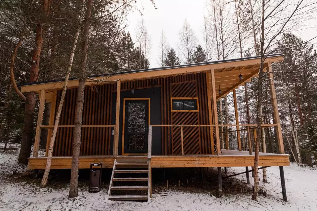 Дом в Карелия, Пряжинский район, Эссойльское с/пос, пос. Сяпся ул. ... - Фото 2