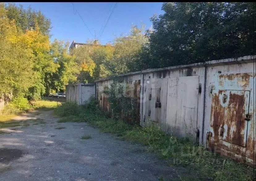 Гараж в Челябинская область, Челябинск просп. Ленина, 28б (15 м) - Фото 1