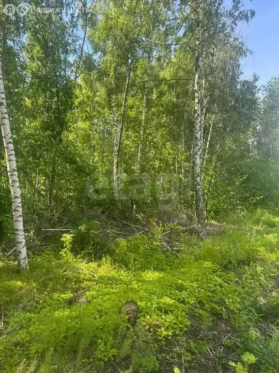 Участок в Самара, Красноглинский район (10 м) - Фото 2