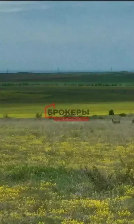 Участок в Крым, Бахчисарайский район, Каштановское с/пос, Крымские ... - Фото 0