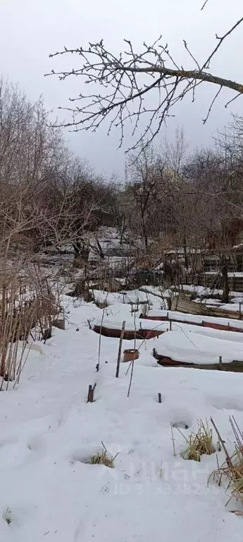 Участок в Нижегородская область, Нижний Новгород Родник садоводческое ... - Фото 0