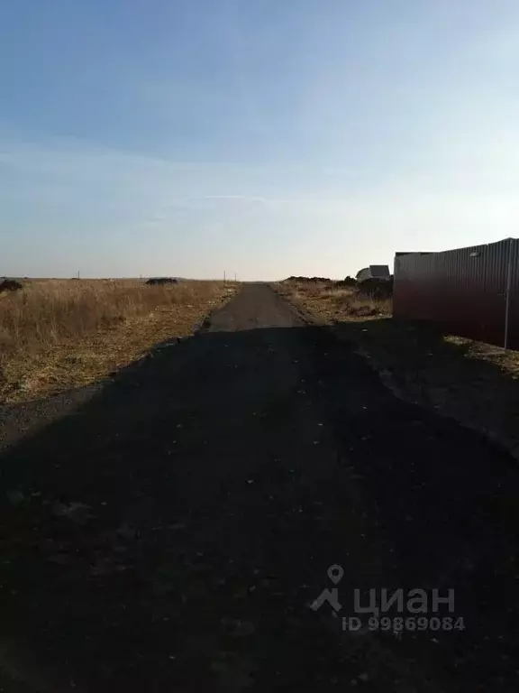 Участок в Московская область, Раменский городской округ, д. Старниково ... - Фото 1