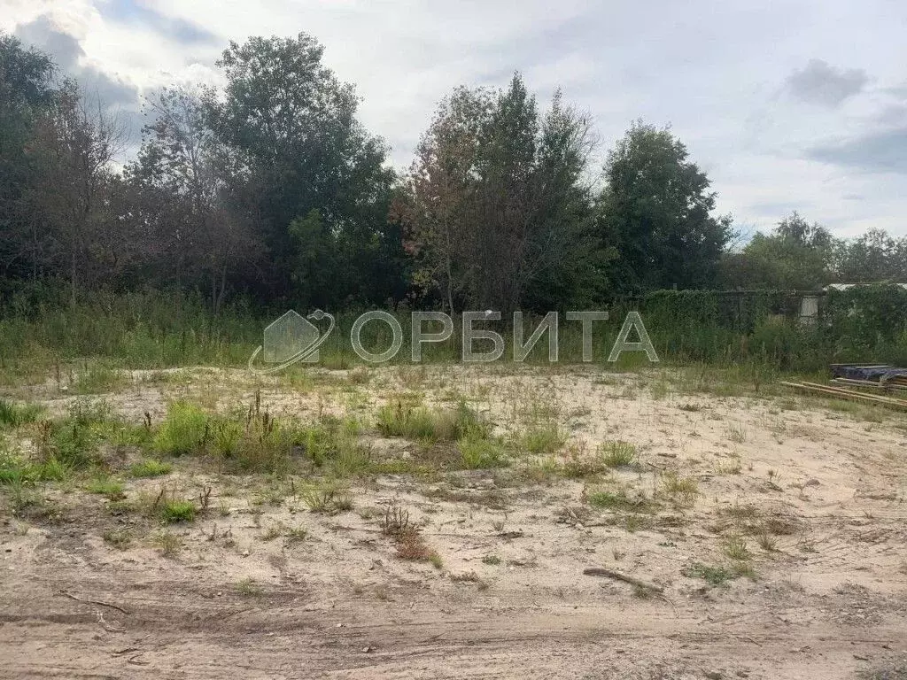 Участок в Тюменская область, Тюмень Россиянка садовое товарищество, ... - Фото 2