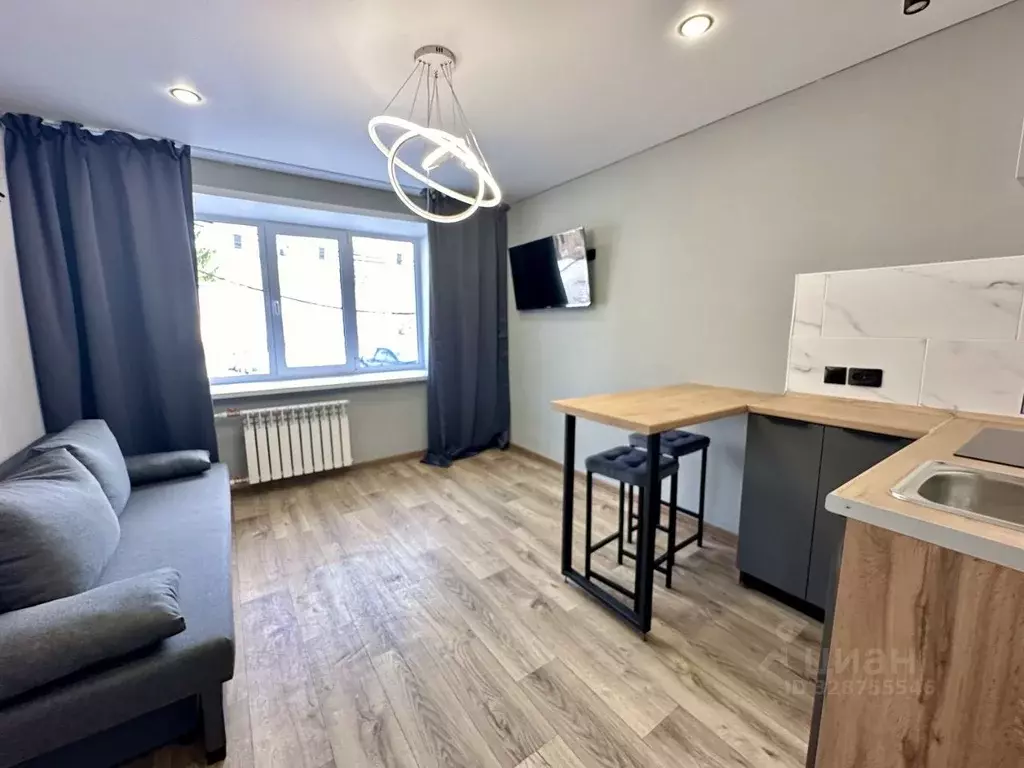 Студия Алтайский край, Барнаул городской округ, Южный рп ул. ... - Фото 1