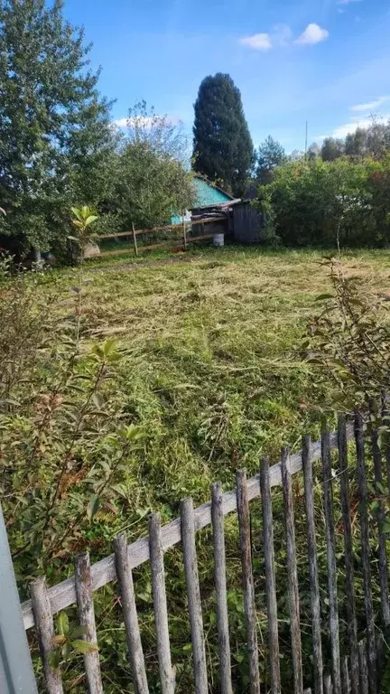 Участок в Ярославская область, Ярославский муниципальный округ, Дружба ... - Фото 1