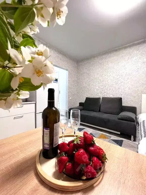 Студия Краснодарский край, Сочи ул. Искры, 88к1 (21.0 м) - Фото 1