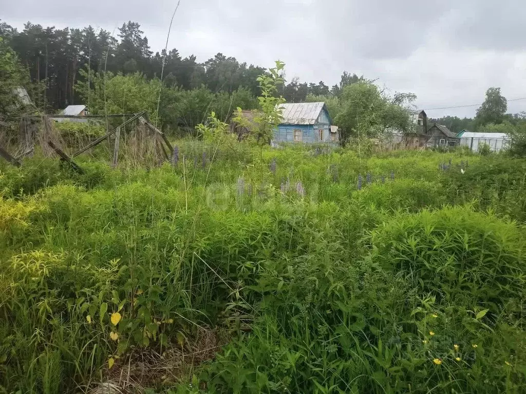 Участок в Брянская область, Сельцо  (5.0 сот.) - Фото 1