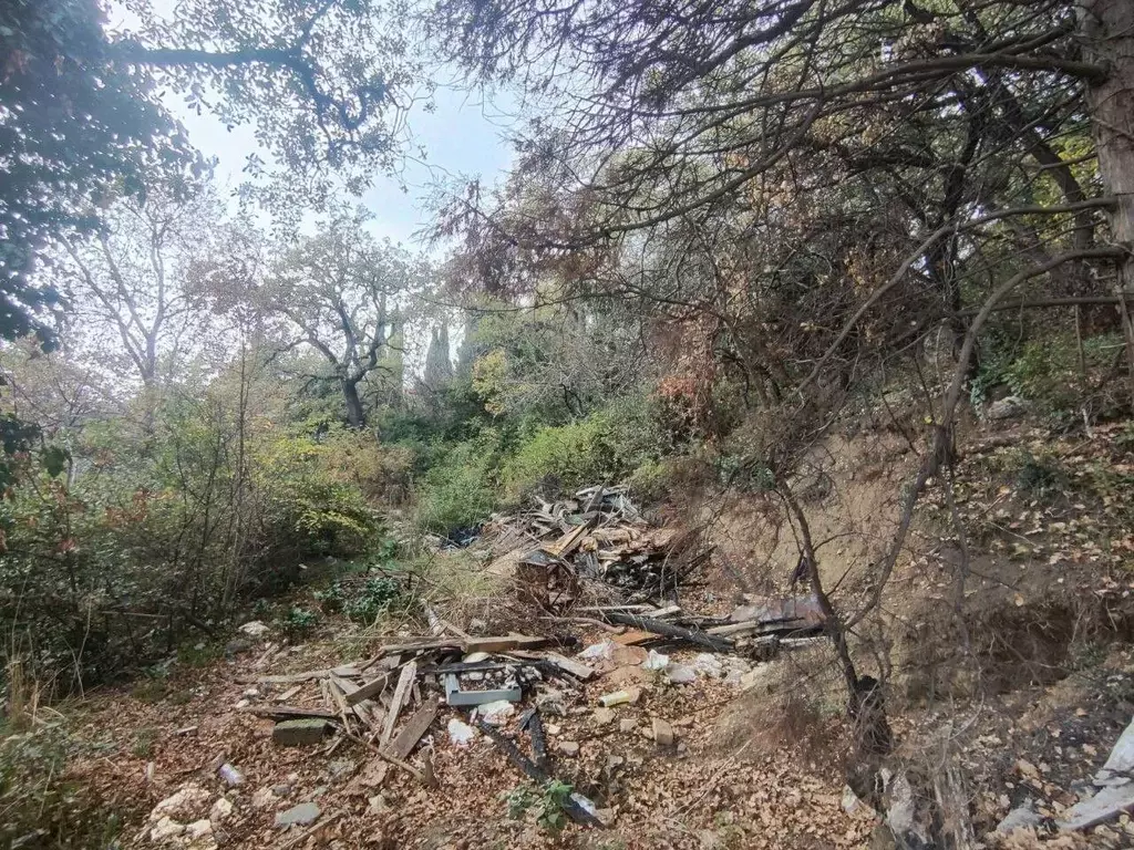 Участок в Крым, Ялта муниципальный округ, Кореиз пгт ш. Алупкинское, ... - Фото 1