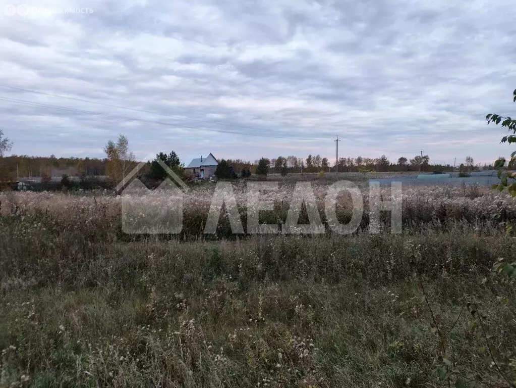 Участок в муниципальный округ Омский район, деревня Большекулачье, ... - Фото 1