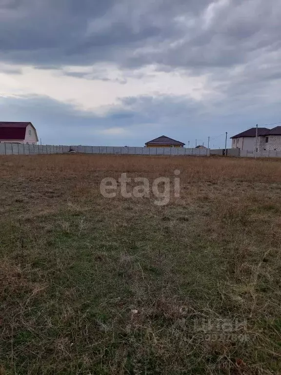 Участок в Крым, Черноморский район, с. Новосельское, Мечта-1 СНТ 583 ... - Фото 0