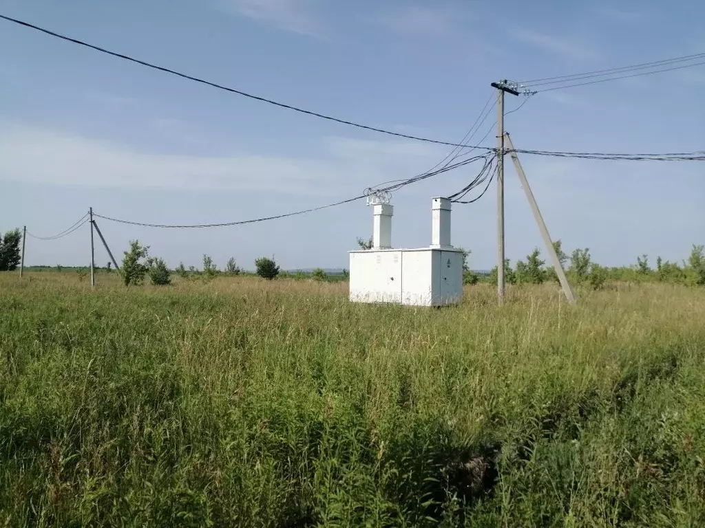 Участок в Алтайский край, Белокуриха ул. Академика Мясникова, 23 ... - Фото 2