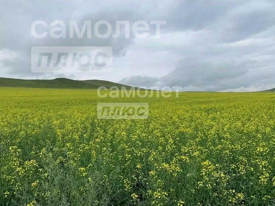 Участок в Забайкальский край, Читинский район, с. Засопка, Кадалинка ... - Фото 0