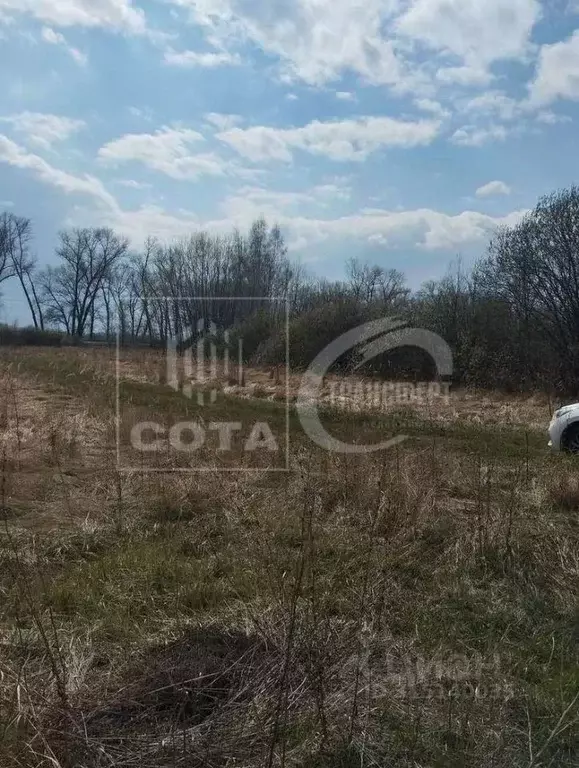 Участок в Воронежская область, Новоусманский район, с. Рогачевка ул. ... - Фото 1