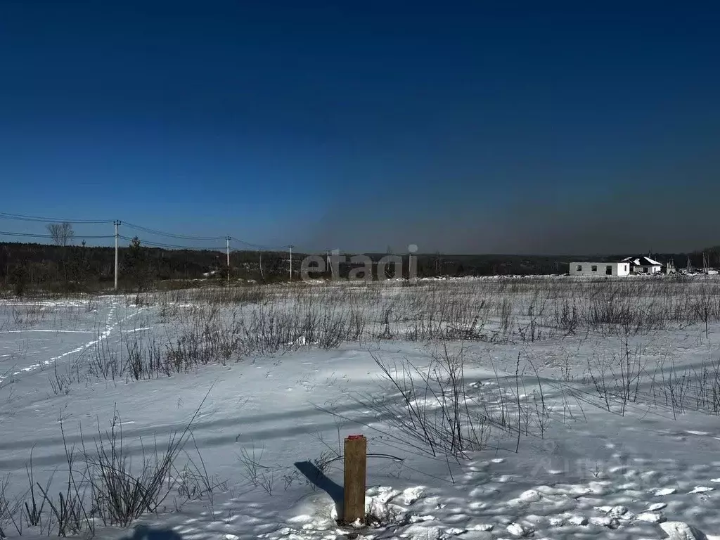 Участок в Амурская область, Благовещенский район, с. Чигири  (13.3 ... - Фото 0