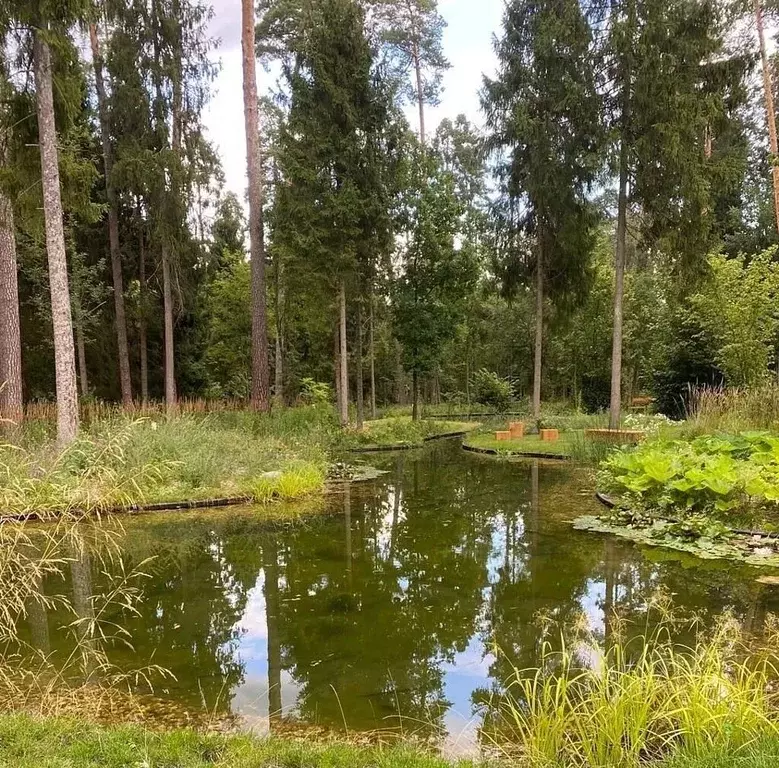 Участок в Московская область, Одинцовский городской округ, пос. ... - Фото 1
